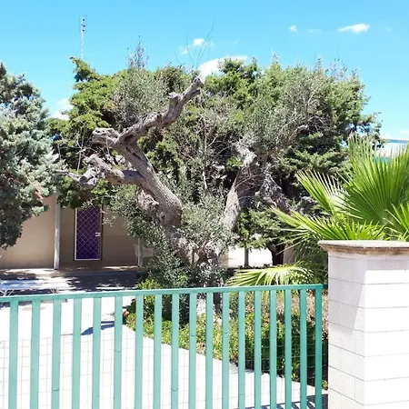 Gli Ulivi Con Ampio Giardino Ed Ogni Comfort A Pochi Passi Dal Mare Vicino Gallipoli Villa