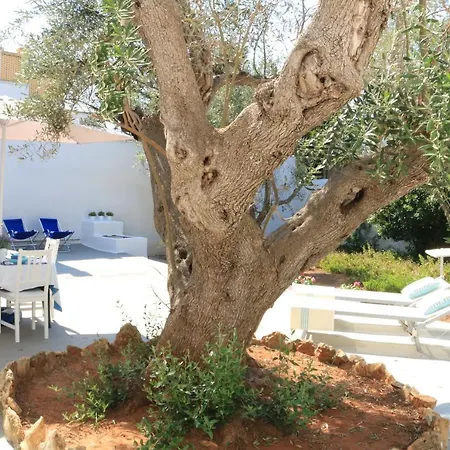 Gli Ulivi Con Ampio Giardino Ed Ogni Comfort A Pochi Passi Dal Mare Vicino Gallipoli Villa