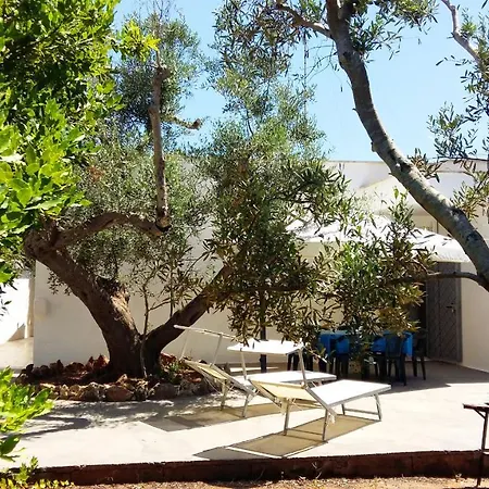 Gli Ulivi Con Ampio Giardino Ed Ogni Comfort A Pochi Passi Dal Mare Vicino Gallipoli *