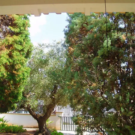 Gli Ulivi Con Ampio Giardino Ed Ogni Comfort A Pochi Passi Dal Mare Vicino Gallipoli Villa *