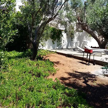 Gli Ulivi Con Ampio Giardino Ed Ogni Comfort A Pochi Passi Dal Mare Vicino Gallipoli Villa